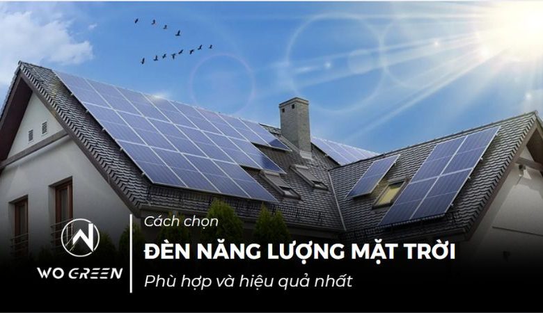Cách chọn đèn năng lượng mặt trời phù hợp và hiệu quả nhất