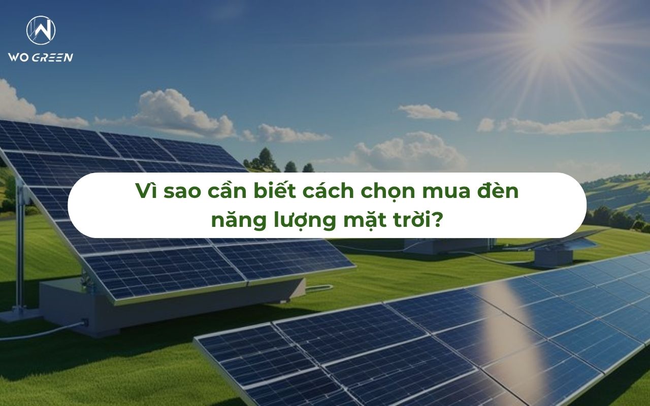 Vì sao cần biết cách chọn mua đèn năng lượng mặt trời?