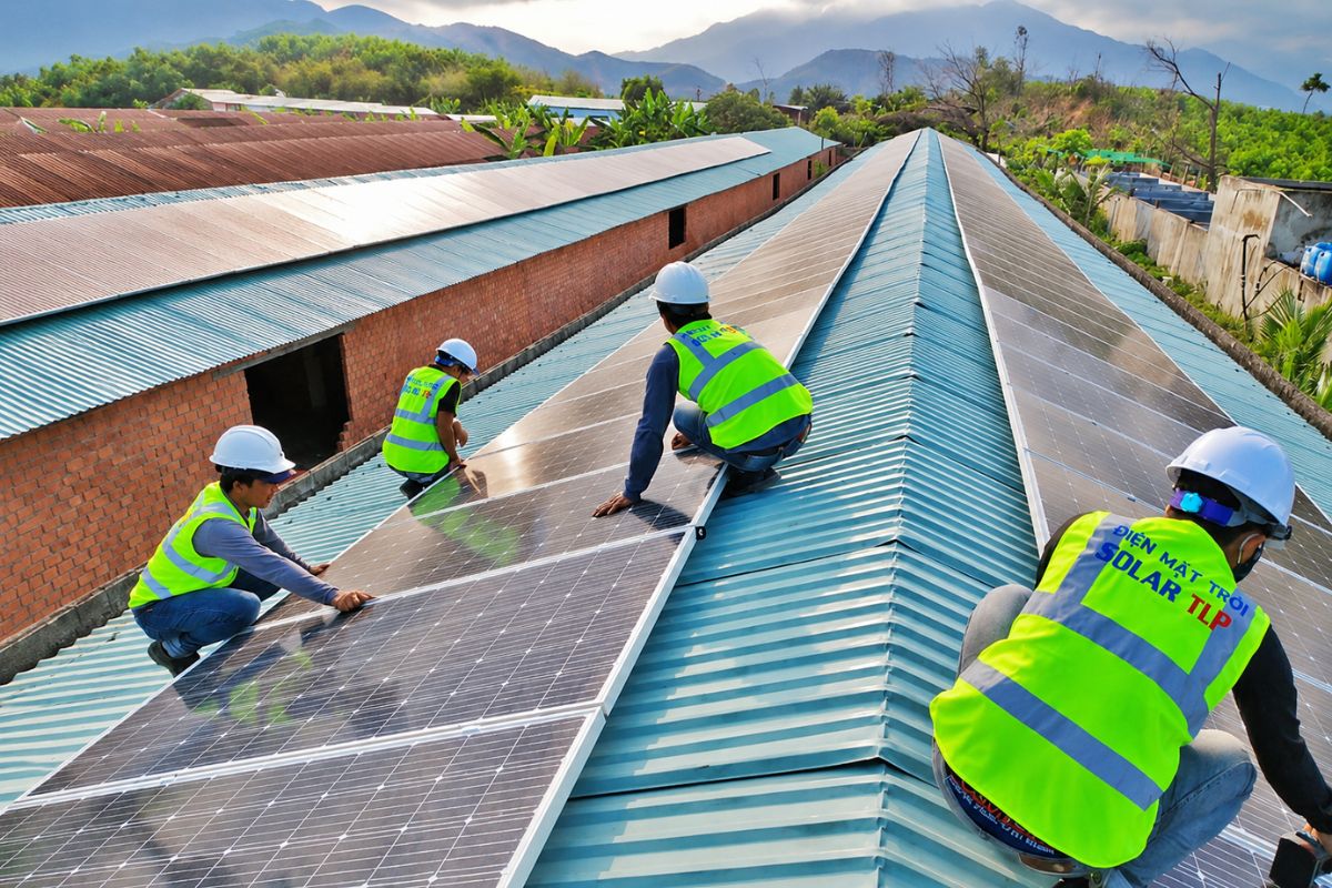 Solar TLP