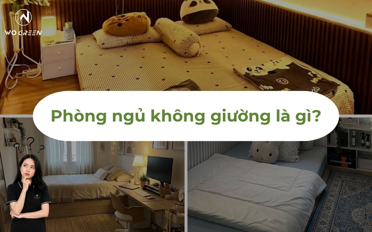 Phòng ngủ không giường là gì?