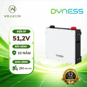 Pin Lithium Dyness 5.12kWh | Pin lưu trữ Dyness 51.2V-100Ah