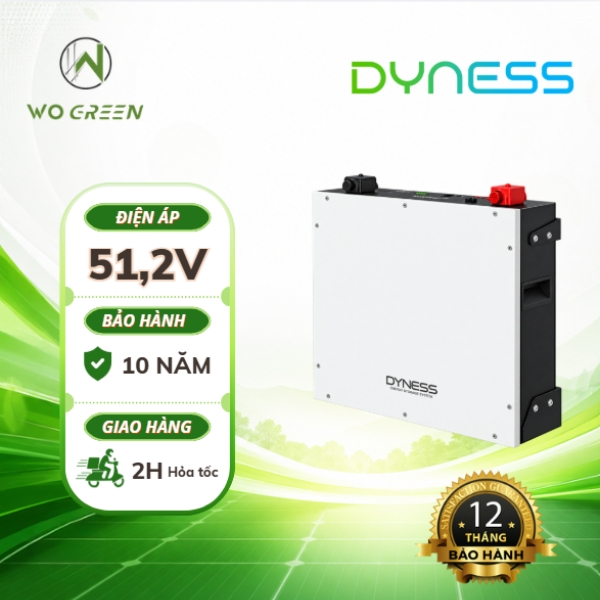Pin Lithium Dyness 5.12kWh | Pin lưu trữ Dyness 51.2V-100Ah
